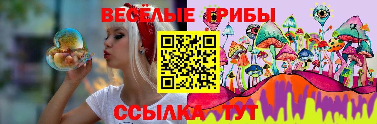 Гудермес  Псилоцибиновые грибы прущие грибы  Вход с VPN 